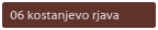 06 kostanjevo rjava