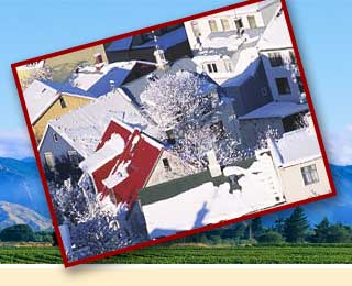 img_pom_10.jpg